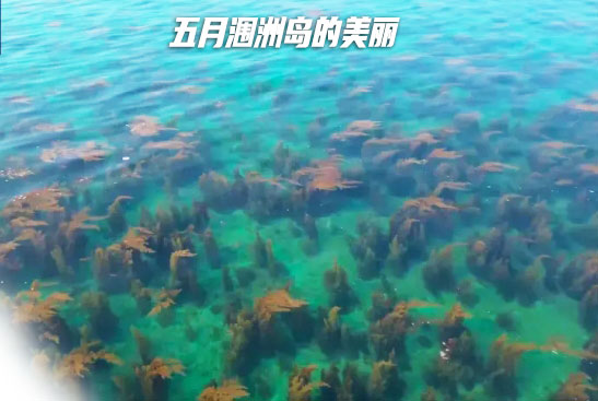 北海旅行社接待案例